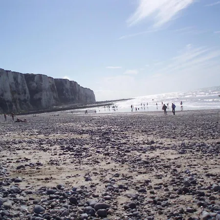 Vue Sur Et Sur L Entree Du Port Le Tréport