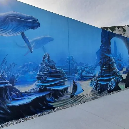 Vue Sur Et Sur L Entree Du Port * Le Tréport