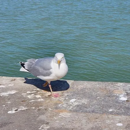Vue Sur Et Sur L Entree Du Port