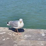 Vue Sur Et Sur L Entree Du Port